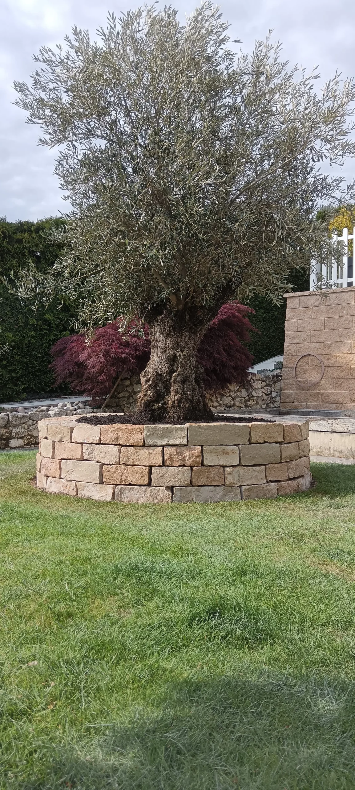 Reflet Exterieur Paysagiste Arbre Mure En Pierre
